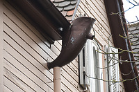 Detail der Westfassade. Wassersammler in Hornform. Das Regenwasser wurde zur Bauzeit in der Wand abgeleitet. Das hier sichtbares Fallrohr ist eine spätere Zutat. / Ehem. Haus Gugel, abgegangen in 70193 Stuttgart, Stuttgart-West (05.12.2014)