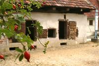 Schweinestall aus Ehningen (BB) / Freilichtmuseum Beuren in 72660 Beuren (02.09.2011 - Becker_priv)