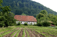 Südfront im FLM Beuren / Schafstall aus Schlaitdorf in 72667 Schlaitdorf (http://www.freilichtmuseum-beuren.de/museum/rundgang/schafstall-aus-schlaitdorf/)