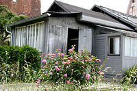 Fotoatelier im FLM Beuren / Fotoatelier aus Kirchheim Teck in 73230 Kirchheim unter Teck (http://www.freilichtmuseum-beuren.de/museum/rundgang/fotoatelier-aus-kirchheim-unter-teck/)